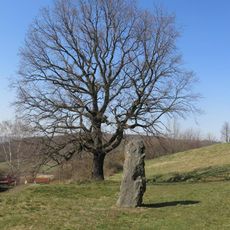 Novodobý menhir u památné lípy za hydrometeorologickým ústavem na Kočkově