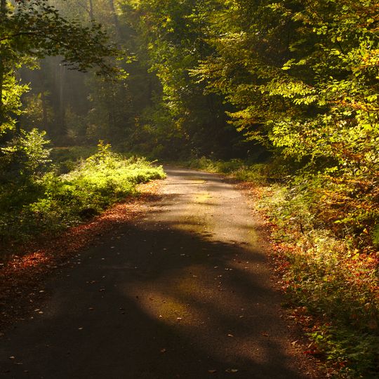 Stiftswald und Felsenwege St. Arnual
