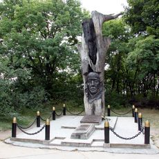 Oak of Volodymyr Kamyshev