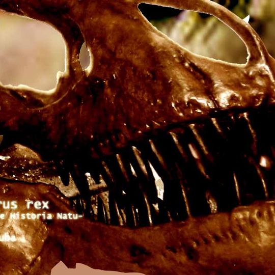 Museo de Historia Natural de La Habana