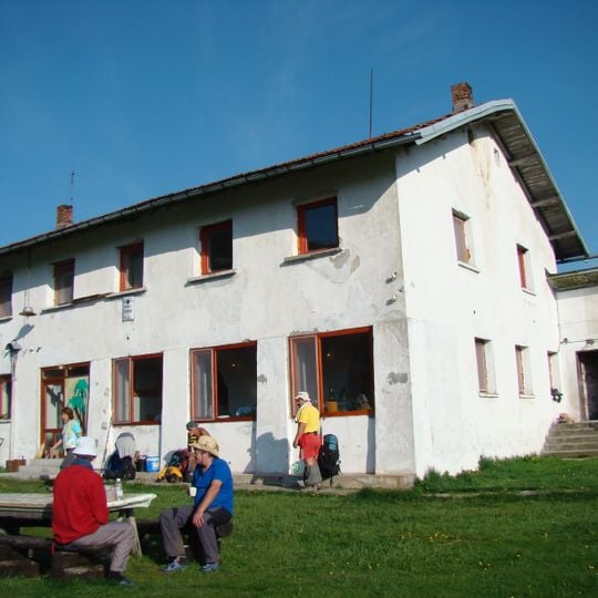 Tazha