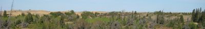 Panoramic View 1