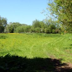 Wolvercote Meadows