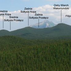 Suchy Wierch Waksmundzki