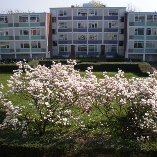 Michael Hansens Kollegium