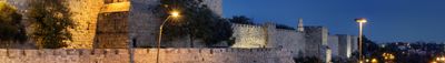 Panoramic View 0