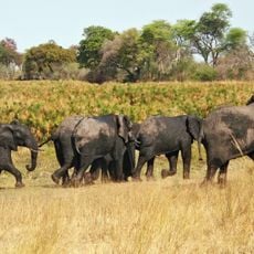 Bwabwata National Park