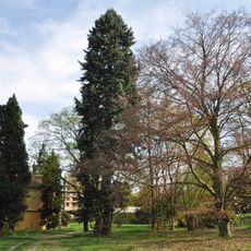 Zahrada Neuperského dvora