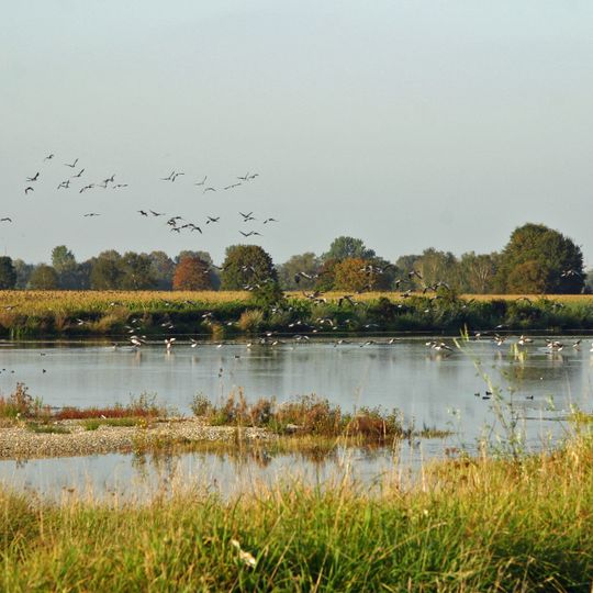 LSG Donau-Auen zwischen Günzburg und Gundelfingen