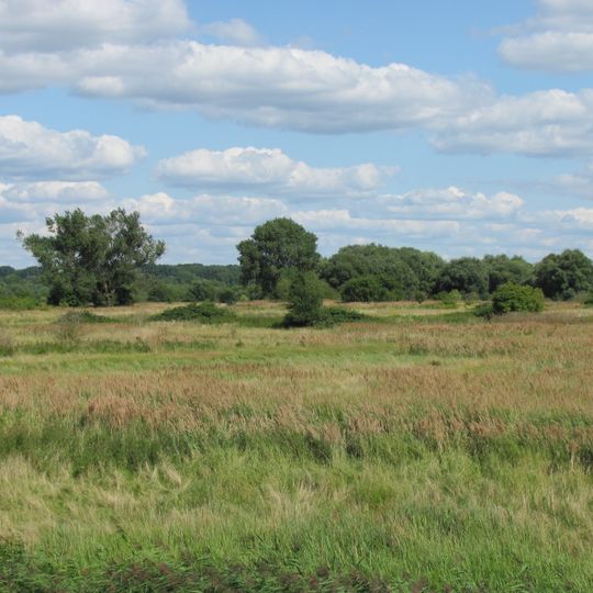 Auenlandschaft Obere Tideelbe