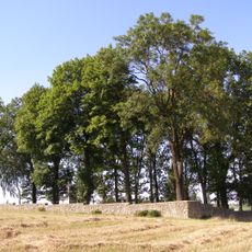 World War I Cemetery nr 167 in Ryglice