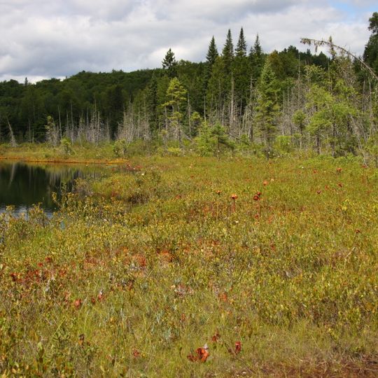 Lac de la Tourbière