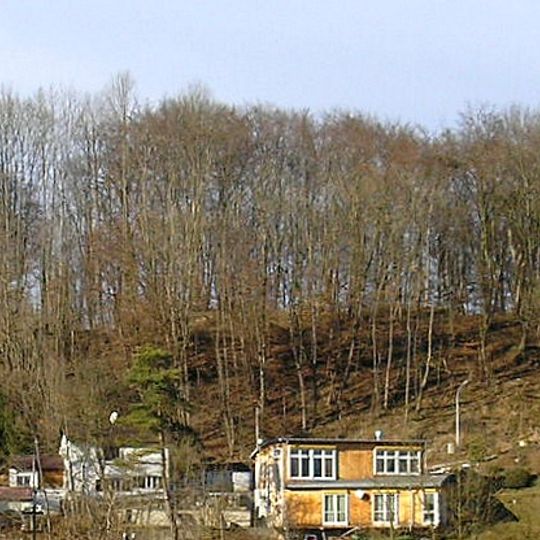 Burgstall Wildenroth