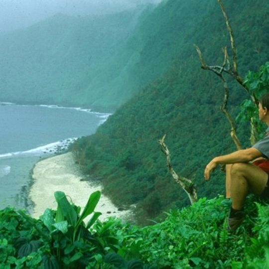 Taʻū