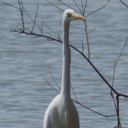 Parc fluvial du Tibre