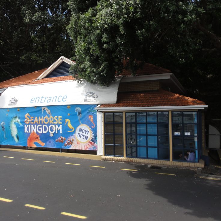 Aquário Kelly Tarlton's Sea Life