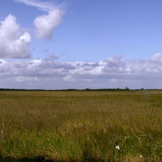 Everglades