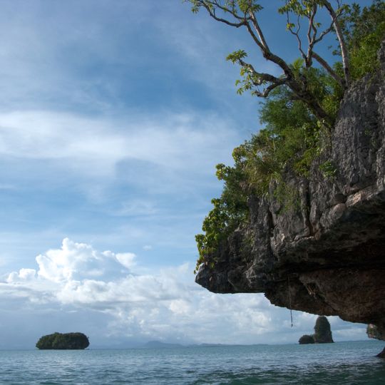 Leyte Gulf