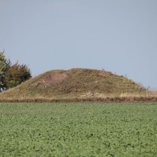 Sunrehöj/Bryggeberg högar