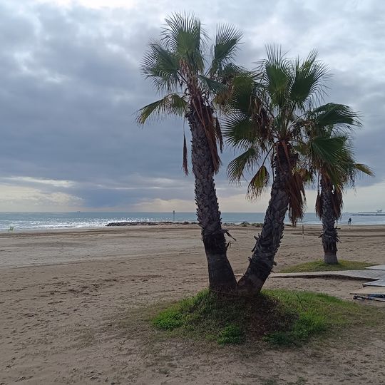 Platja de l'Almadrava