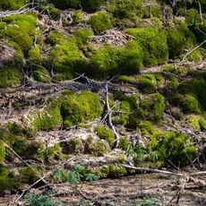 Albtrauf von der Friesener Warte zur Langen Meile