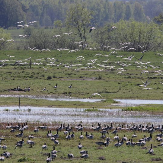 Klingavälsåns dalgång