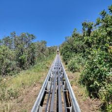 Alpine Coaster