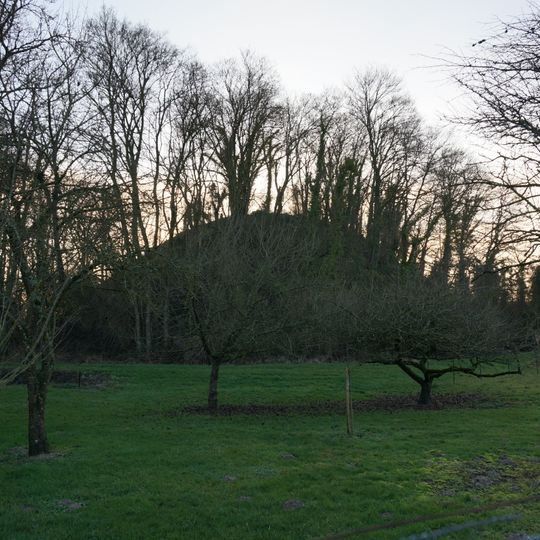 Tumuli de Bussy-le-Château