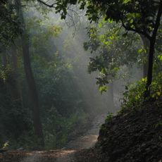 Parc national Jim Corbett