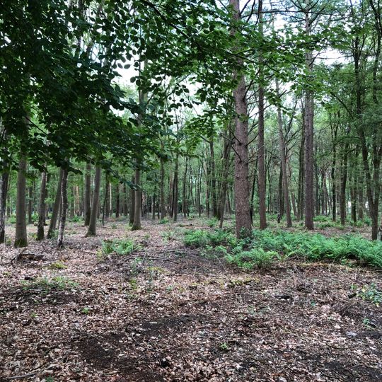 Neolithic tumulus in Holten