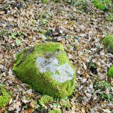Imbarės akmuo su dubeniu