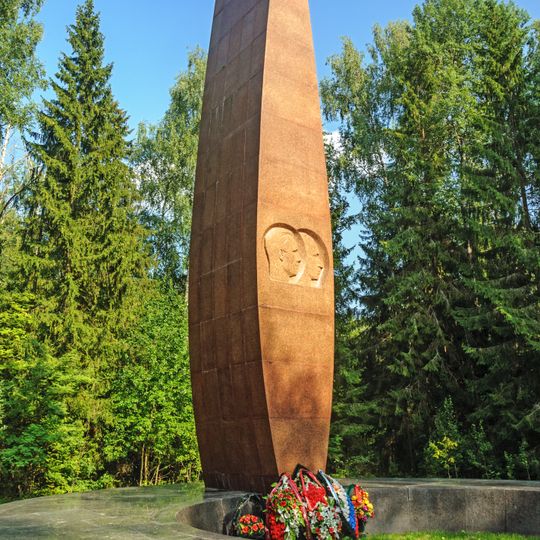 Category:Gagarin and Seregin Deathplace