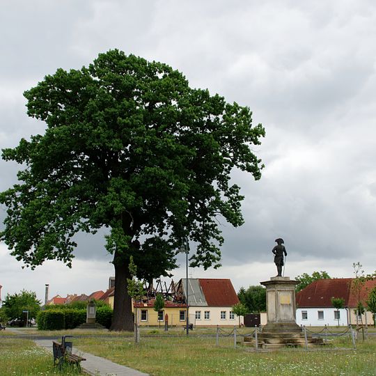 Naturdenkmal Friedenseiche Stieleiche  Ortsmitte; Flur 1, Flurstück 88, in Kloster Zinna