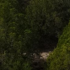 Colorado Bend State Park