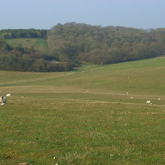Combe Wood and Linkenholt Hanging