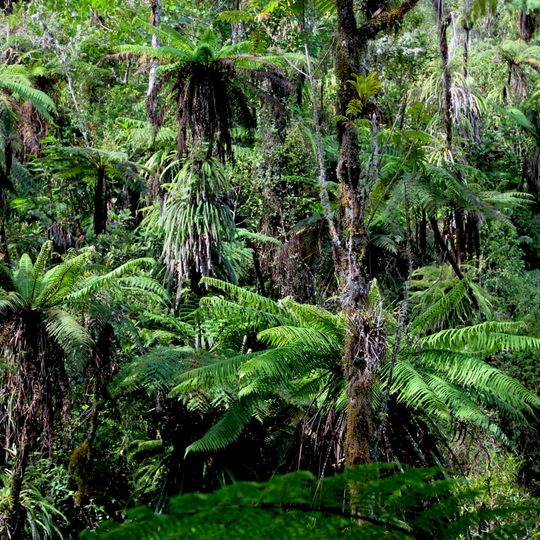 Parc national naturel de Grande Colline