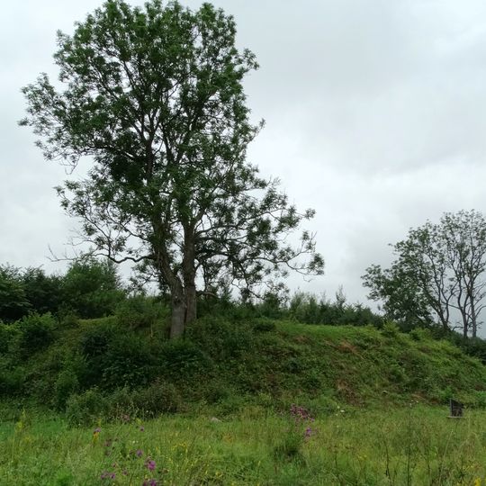 Buivydai hillfort, Anykščiai