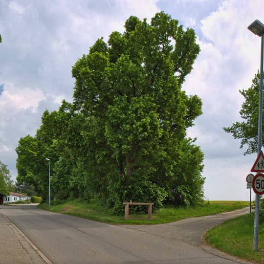 Lindenreihe und Grubbank