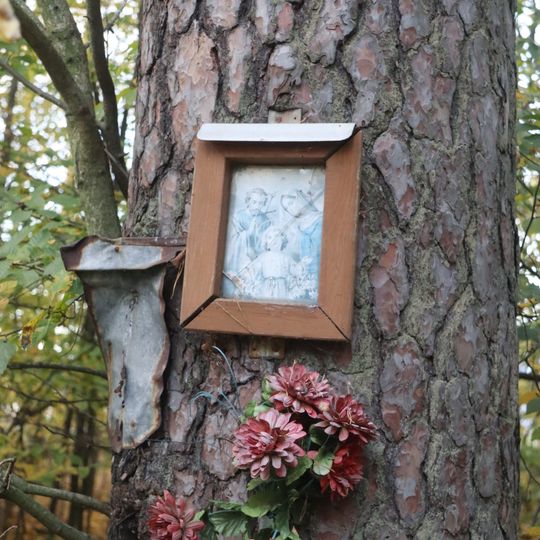 Svatý obrázek u silnice 393 u Rapotic