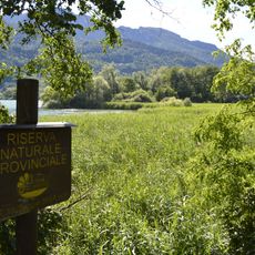 Biotopo Canneti di San Cristoforo