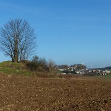 Turmhügel Rodesgrün