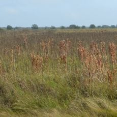 San Bernard National Wildlife Refuge