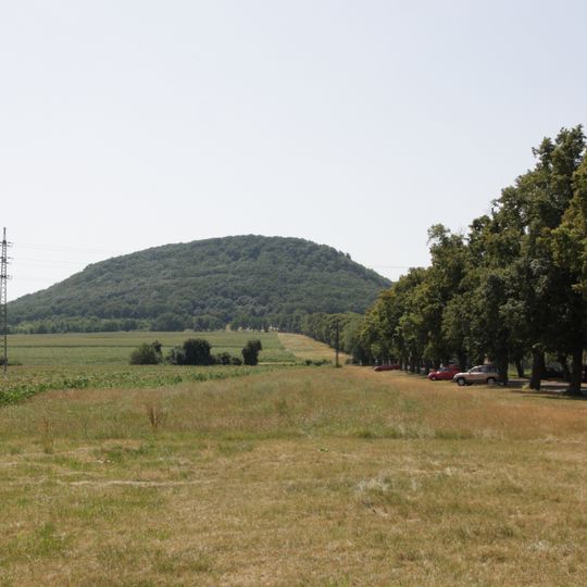 Lipová alej na úpatí památné hory Říp