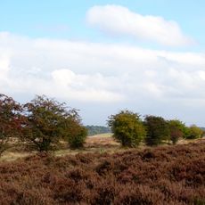 Oud-Reemsterveld