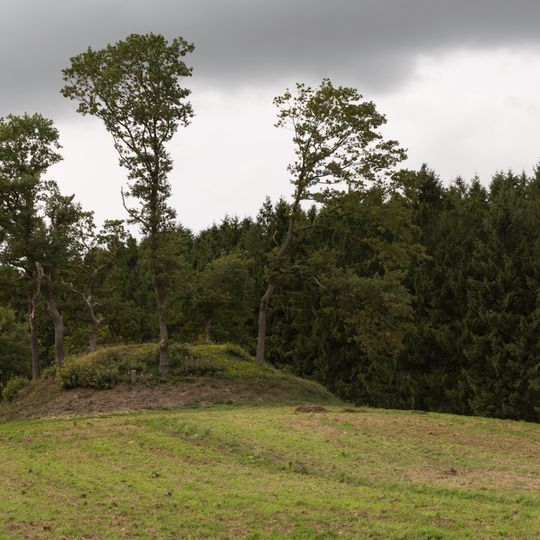 Nørre Snede gravhøj 54121