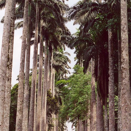 Jardín Botánico Aburi