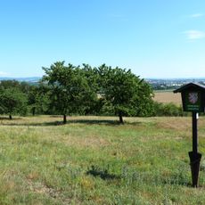 Na Popovickém kopci