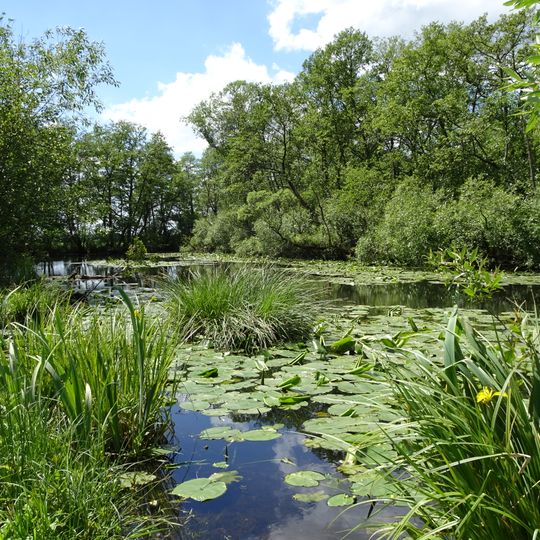 Alte Fulda bei Asbach