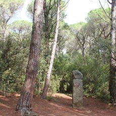 Menhir de la Murtra