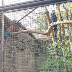 Zoológico Municipal de São Bernardo do Campo